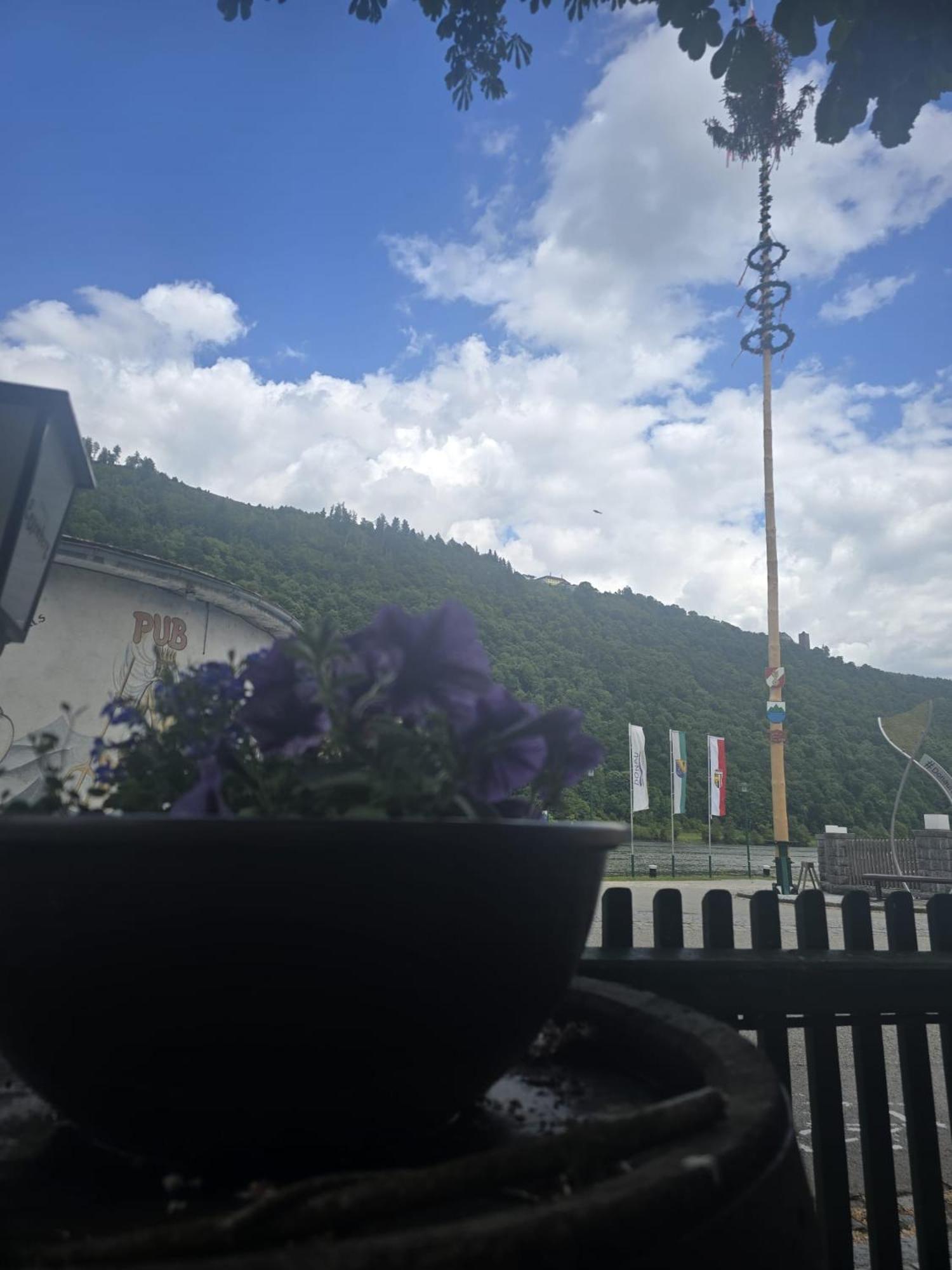 Gasthof Zum Schiffmeister Wesenufer Zewnętrze zdjęcie