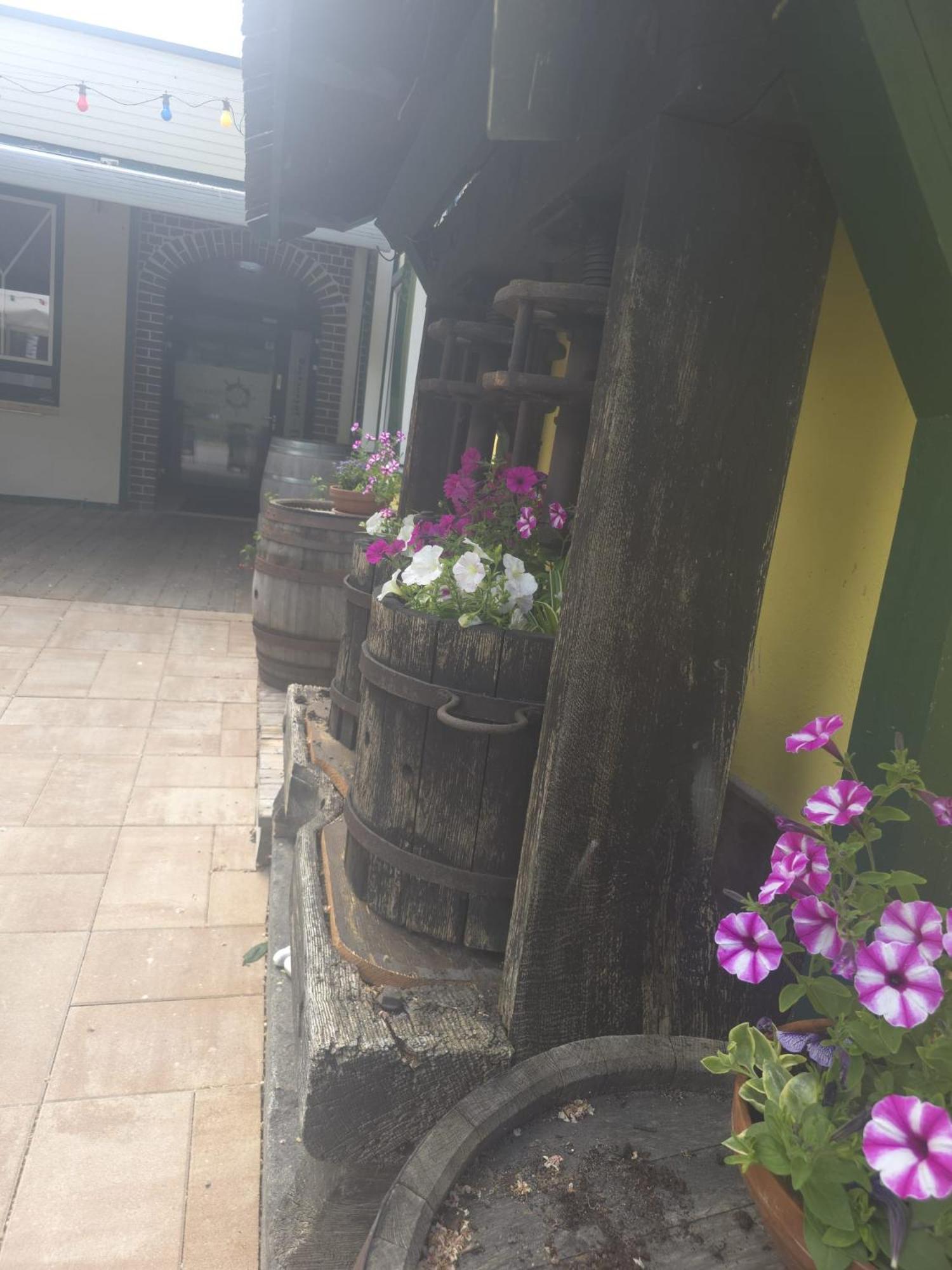 Gasthof Zum Schiffmeister Wesenufer Zewnętrze zdjęcie