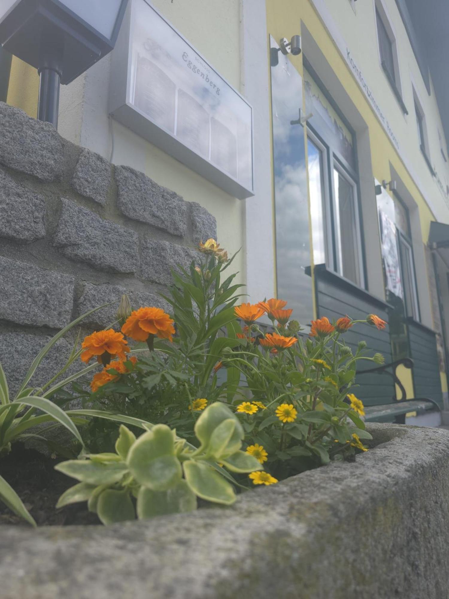 Gasthof Zum Schiffmeister Wesenufer Zewnętrze zdjęcie